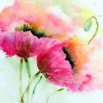 28ec90e67eed158c8ffdcb276c24cc9f--watercolor-poppies-poppies-painting